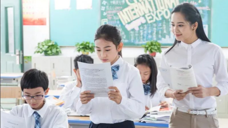成人教育学历，学信网查询指南